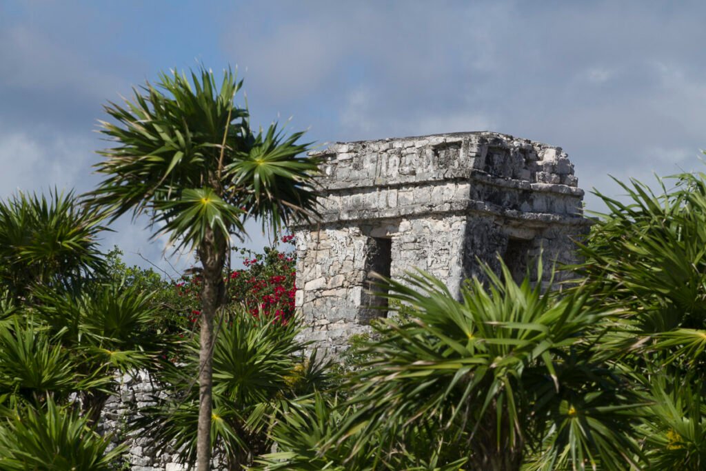 Paisaje costero de la Riviera Maya